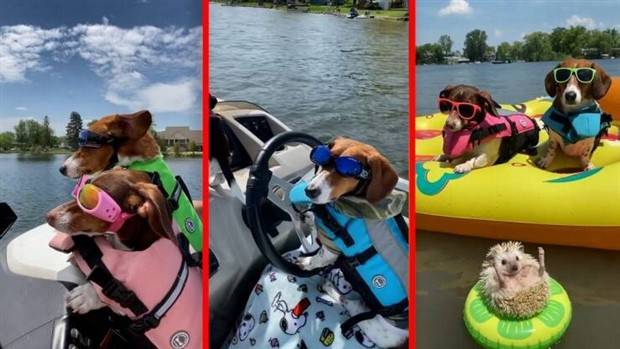 Klyker Picdump #1104 (52 photos)