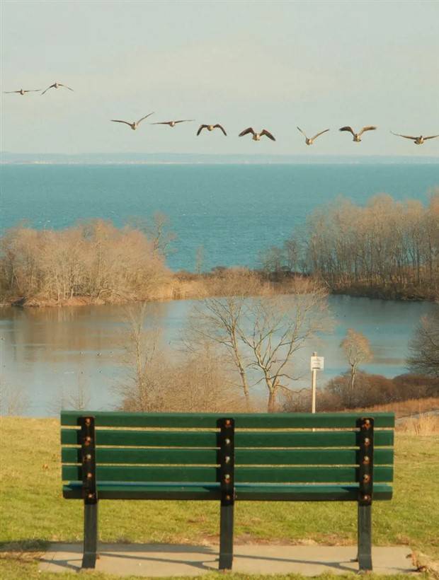 Klyker Picdump #1106 (54 photos)