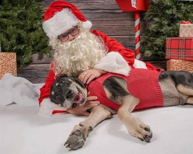 Klyker Picdump #1106 (54 photos)