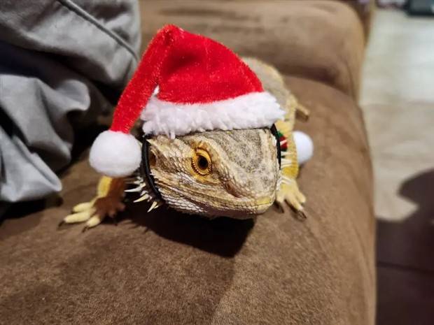 Klyker Picdump #1106 (54 photos)