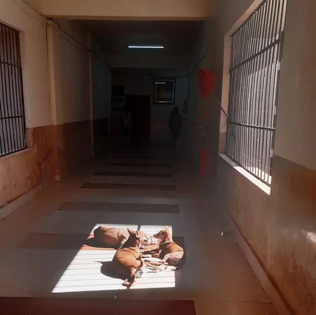 Klyker Picdump #1106 (54 photos)