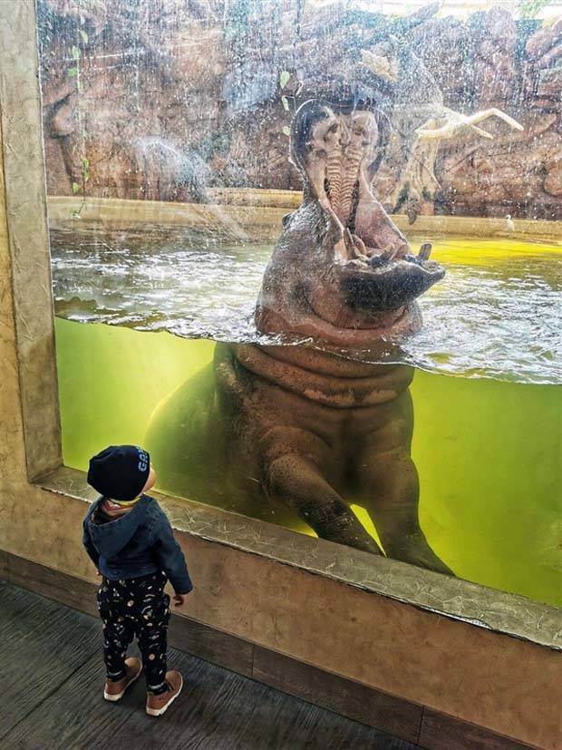 Klyker Picdump #1106 (54 photos)