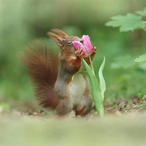 Klyker Picdump #1106 (54 photos)