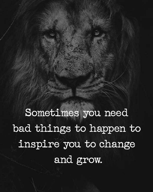 Motivational Quotes We All Need #30 (28 photos)