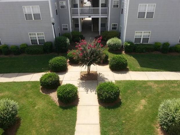 Perfectionists Will Hate These Pics #6 (42 photos)