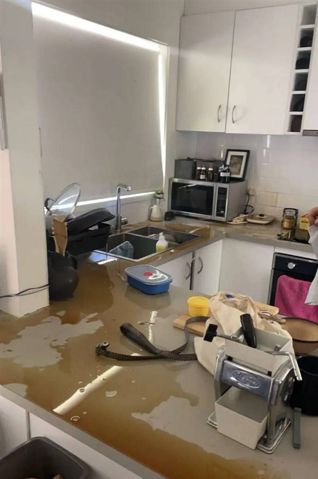 Shit Happens Regularly #202 (39 photos)