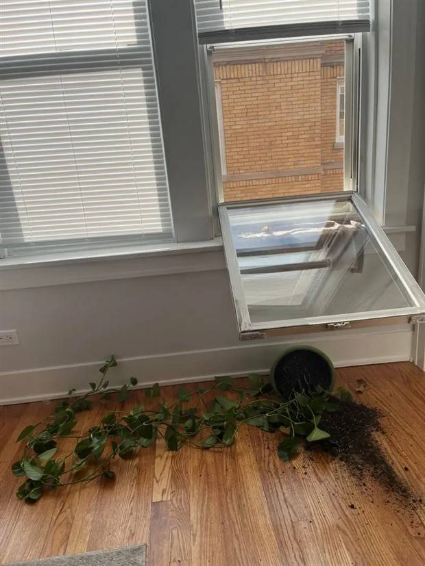 Shit Happens Regularly #202 (39 photos)