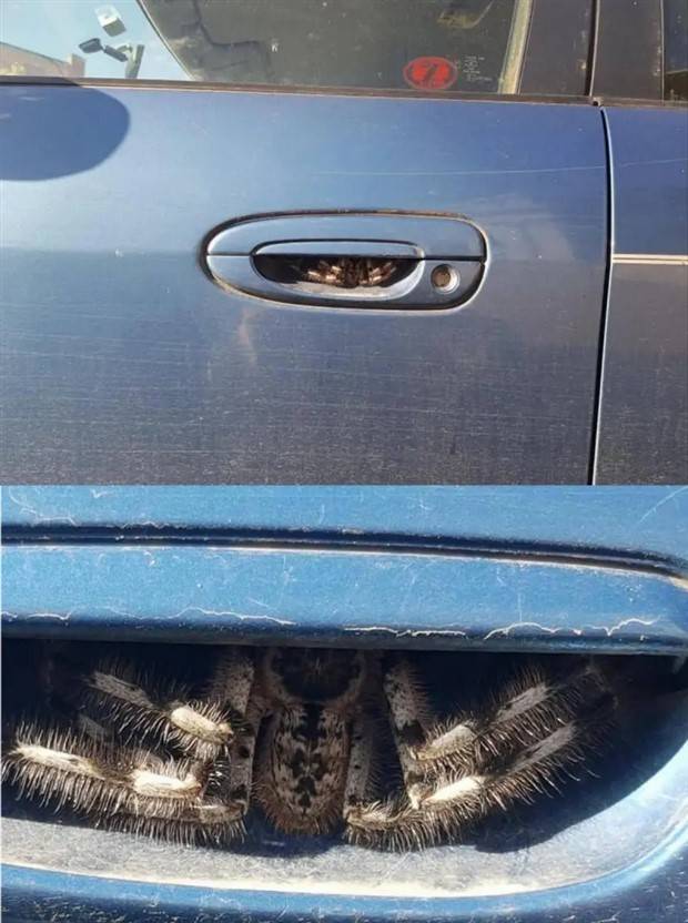 Shit Happens Regularly #202 (39 photos)