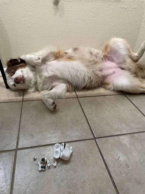 Shit Happens Regularly #202 (39 photos)