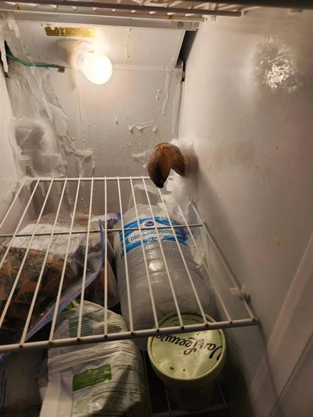 Strange Finds In Fridges (48 photos)