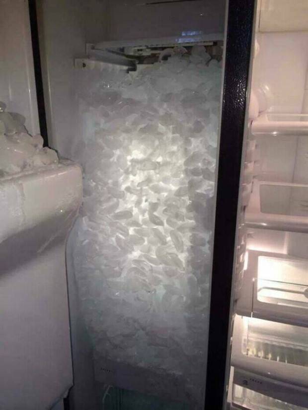 Strange Finds In Fridges (48 photos)