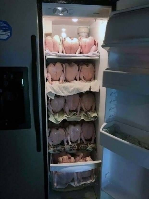 Strange Finds In Fridges (48 photos)