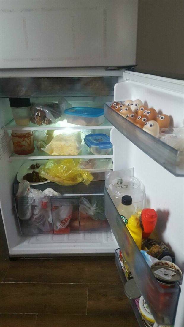 Strange Finds In Fridges (48 photos)