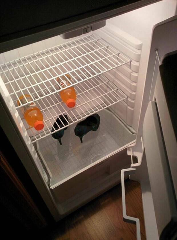 Strange Finds In Fridges (48 photos)