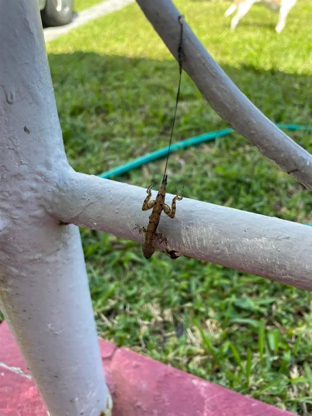 Welcome To The Weird Side Of The Internet #182 (39 photos)