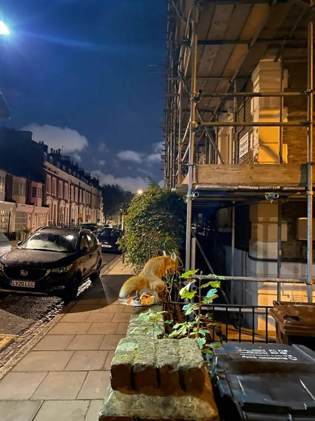 Welcome To The Weird Side Of The Internet #182 (39 photos)