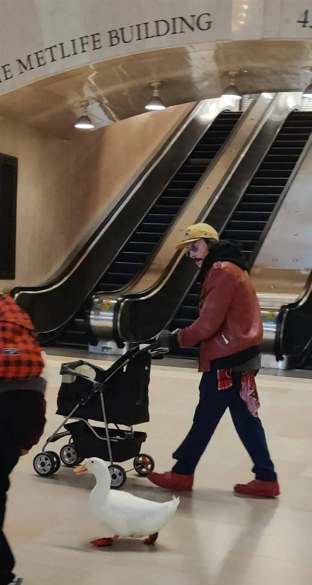 Welcome To The Weird Side Of The Internet #182 (39 photos)