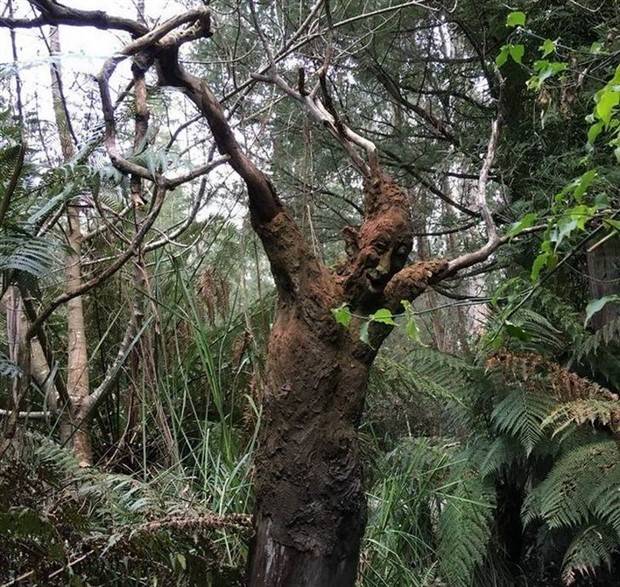 Just A Bunch Of Random Creepy Photos #6 (41 photos)