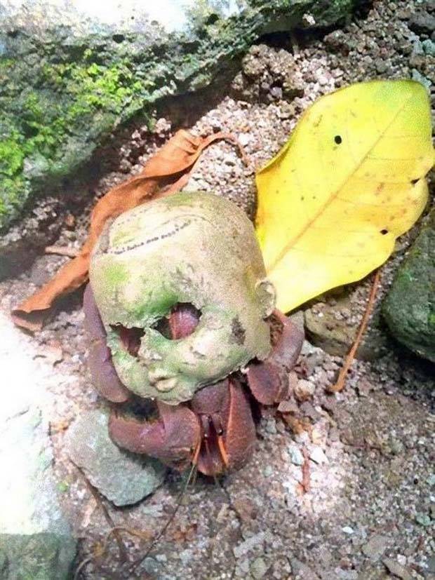 Just A Bunch Of Random Creepy Photos #6 (41 photos)