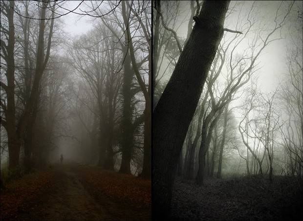 Just A Bunch Of Random Creepy Photos #6 (41 photos)