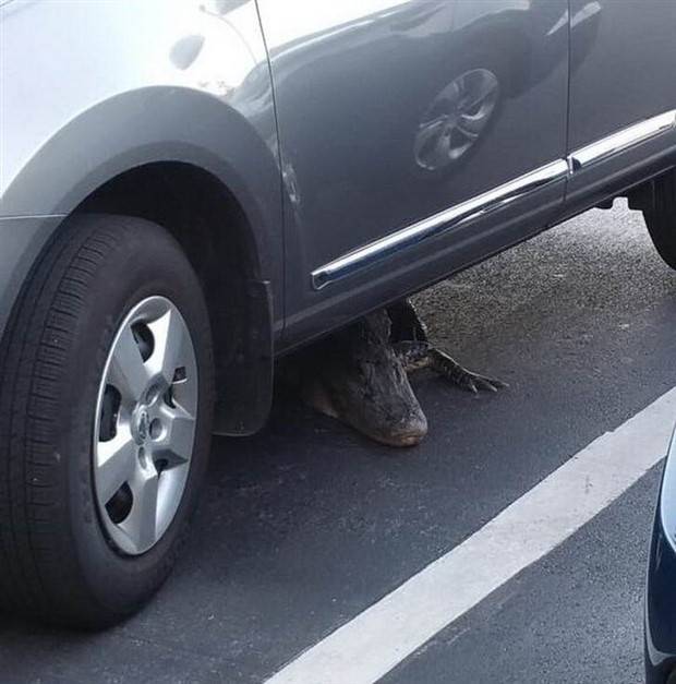 Just A Bunch Of Random Creepy Photos #6 (41 photos)