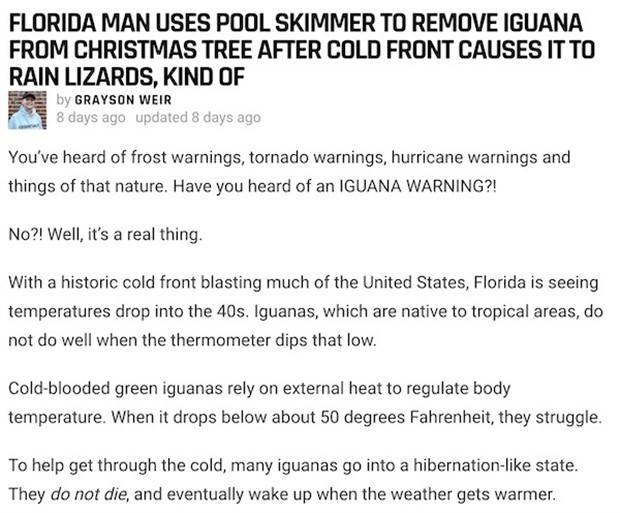 Whats Wrong With Florida Men? (24 photos)