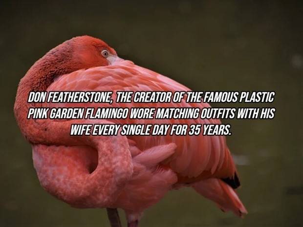 It’s Time For Some Cool And Interesting Facts #306 (36 photos)