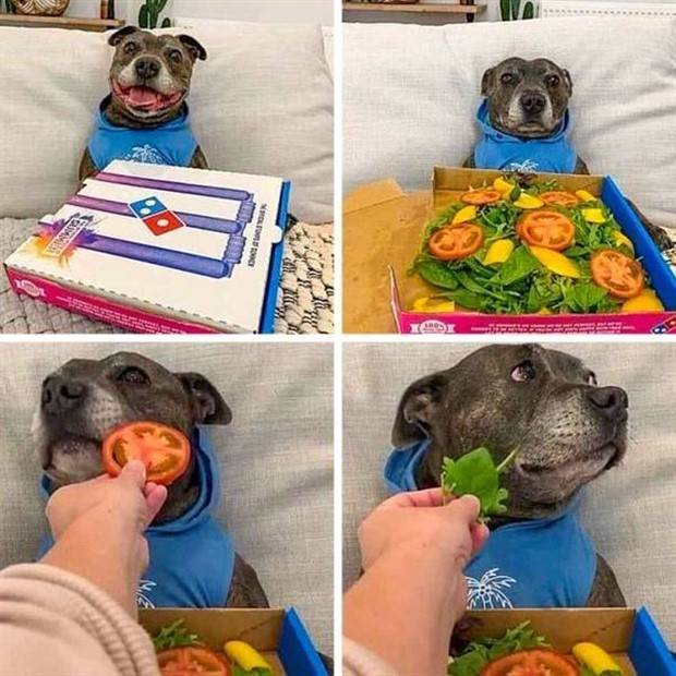 Get Ready For Funny Animals #264 (46 photos)