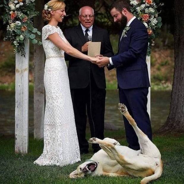 Get Ready For Funny Animals #264 (46 photos)