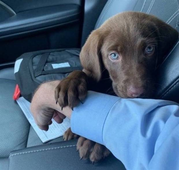 Get Ready For Funny Animals #263 (45 photos)