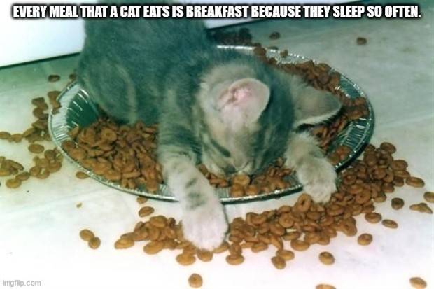 funny shower thoughts 29 1 Funny Shower Thoughts #34 (33 photos)