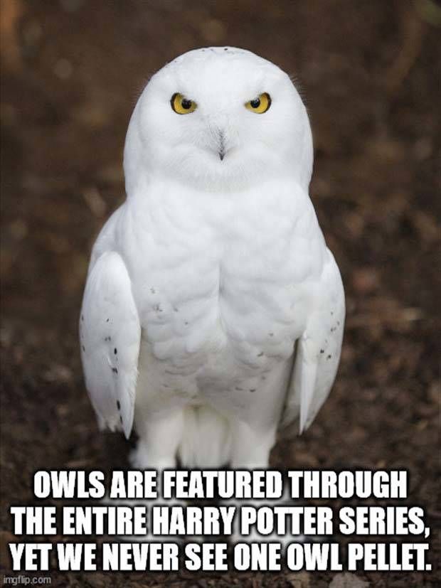 funny shower thoughts 32 1 Funny Shower Thoughts #34 (33 photos)