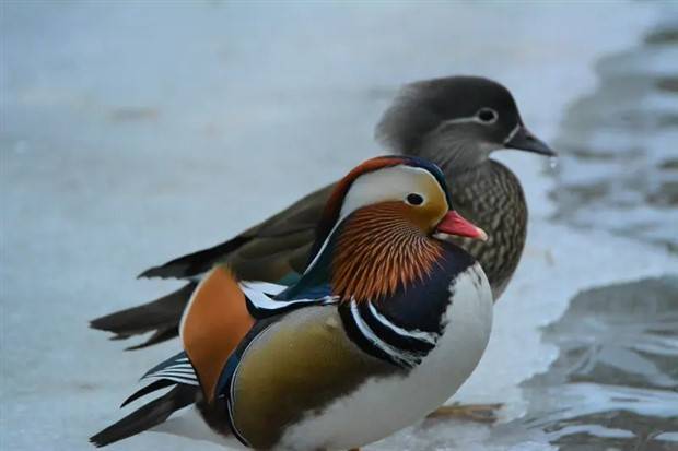 Klyker Picdump #1122 (55 photos)