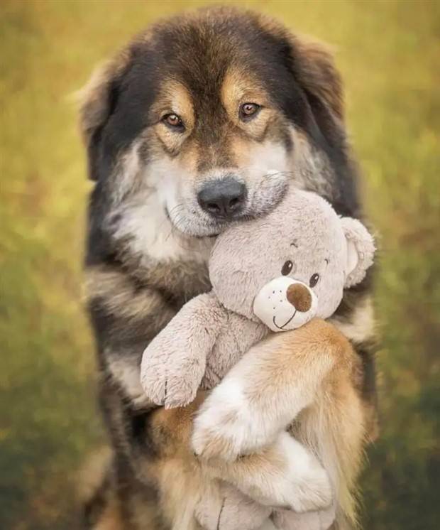 Klyker Picdump #1122 (55 photos)