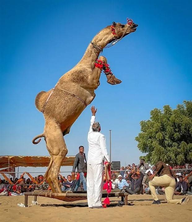 Klyker Picdump #1122 (55 photos)