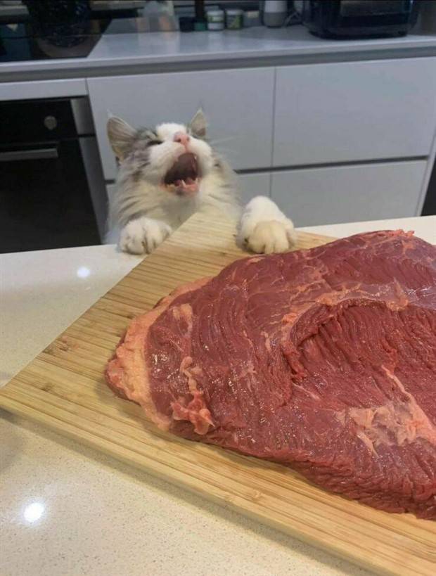 Klyker Picdump #1122 (55 photos)