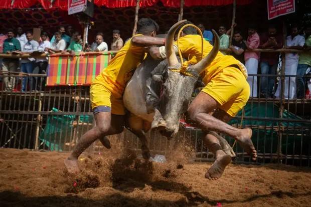 Klyker Picdump #1122 (55 photos)