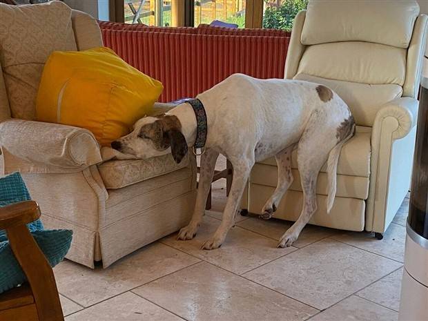 Klyker Picdump #1126 (54 photos)