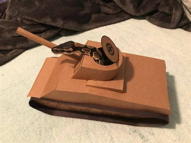 klyker picdump 1 26 2023 38 Klyker Picdump #1126 (54 photos)