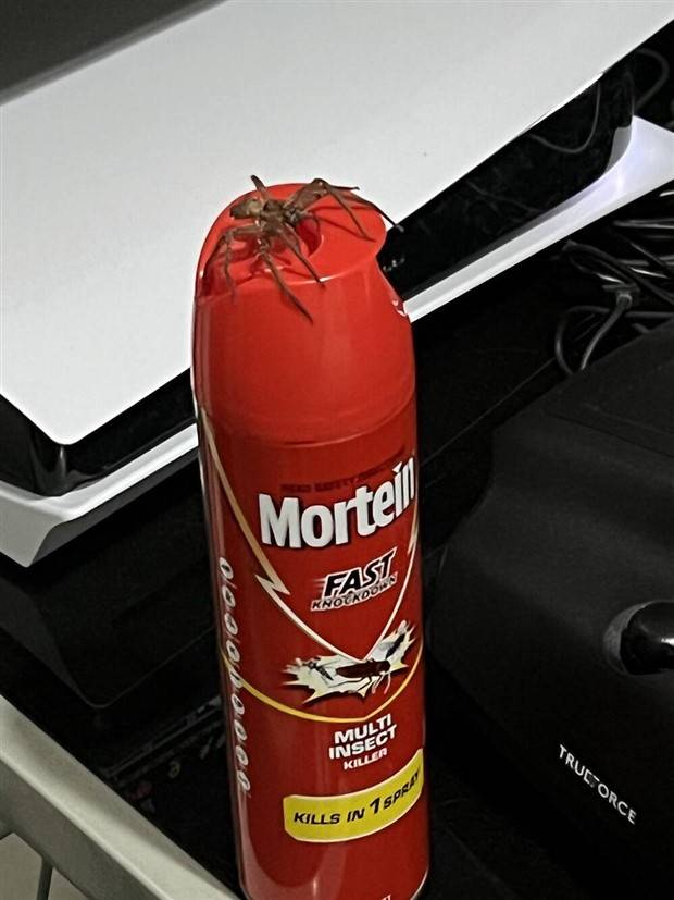 Klyker Picdump #1126 (54 photos)