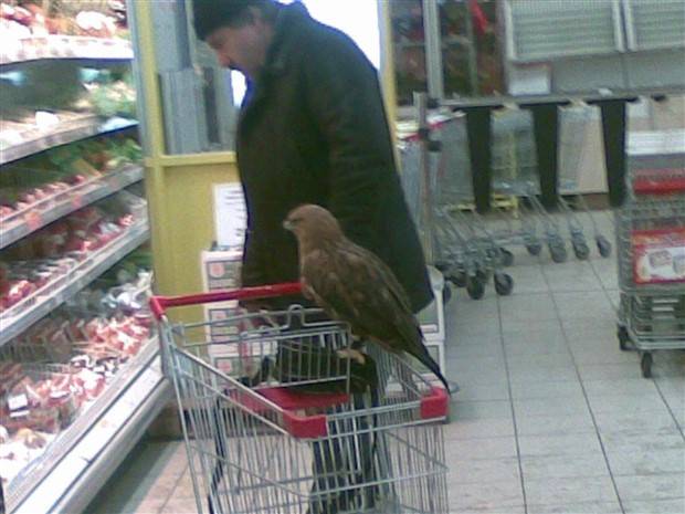 Klyker Picdump #1109 (52 photos)