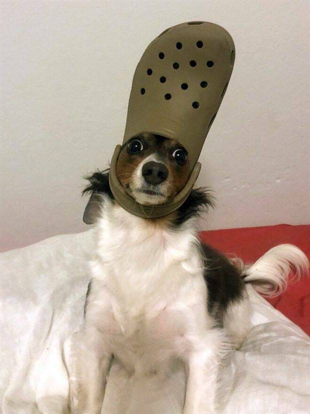 Klyker Picdump #1109 (52 photos)