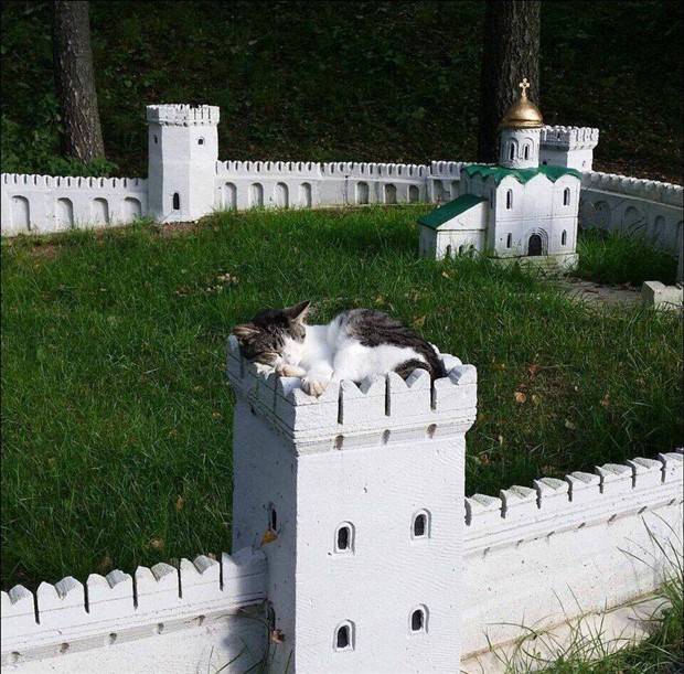 Klyker Picdump #1109 (52 photos)