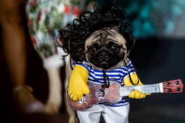 Klyker Picdump #1109 (52 photos)