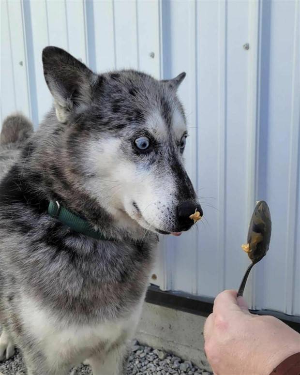 Klyker Picdump #1110 (53 photos)