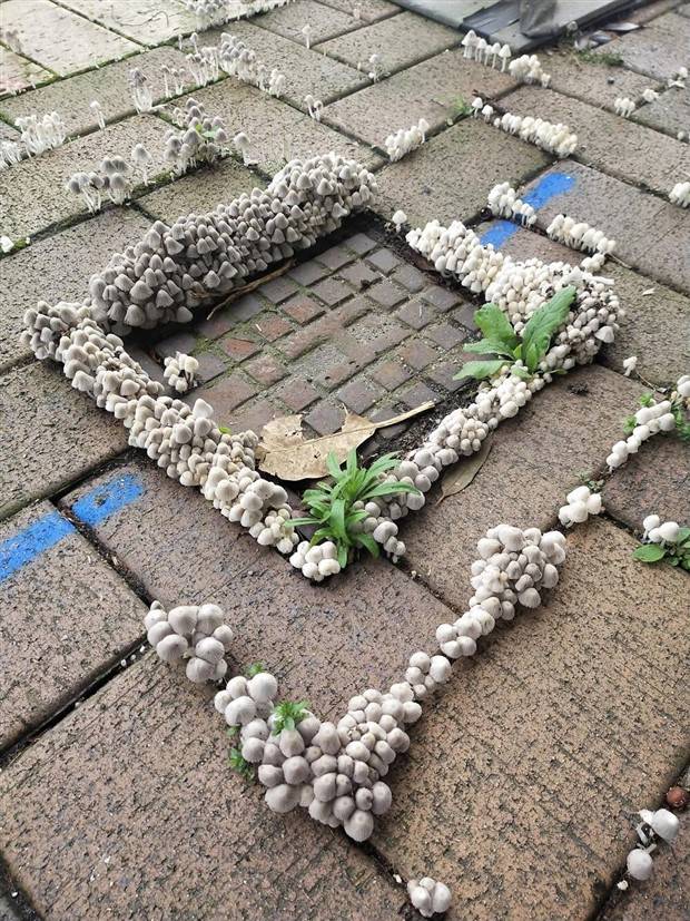 Klyker Picdump #1110 (53 photos)