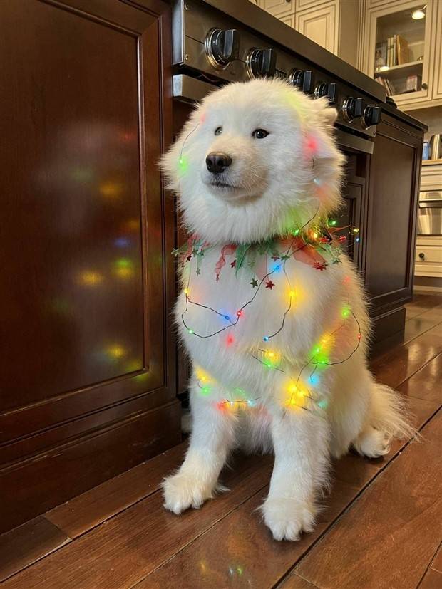 Klyker Picdump #1110 (53 photos)