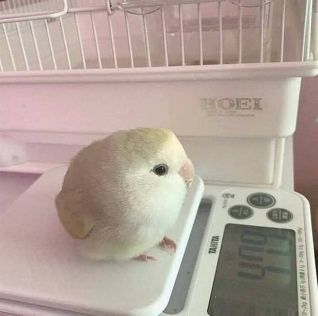 Klyker Picdump #1110 (53 photos)