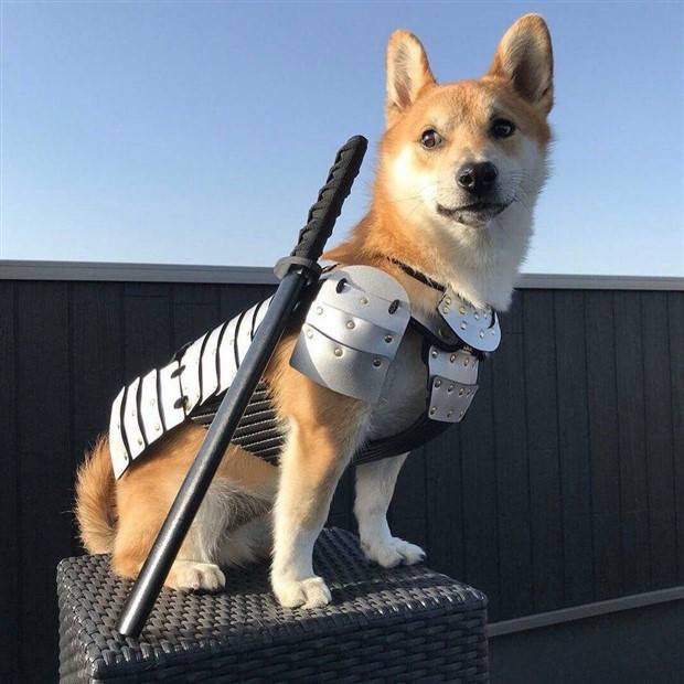 Klyker Picdump #1110 (53 photos)