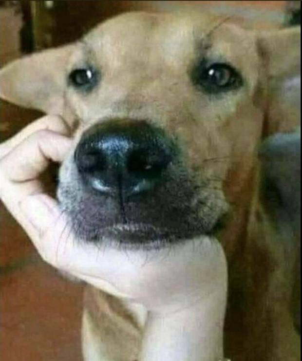 Klyker Picdump #1111 (54 photos)